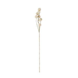 Natural Sycamore Fruit Ball Stem - 32 inches
